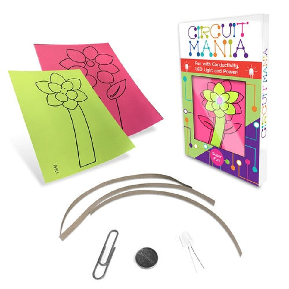 HamiltonBuhl STEAM-2DX Beginner Level Deluxe STEAM / STEM Kit